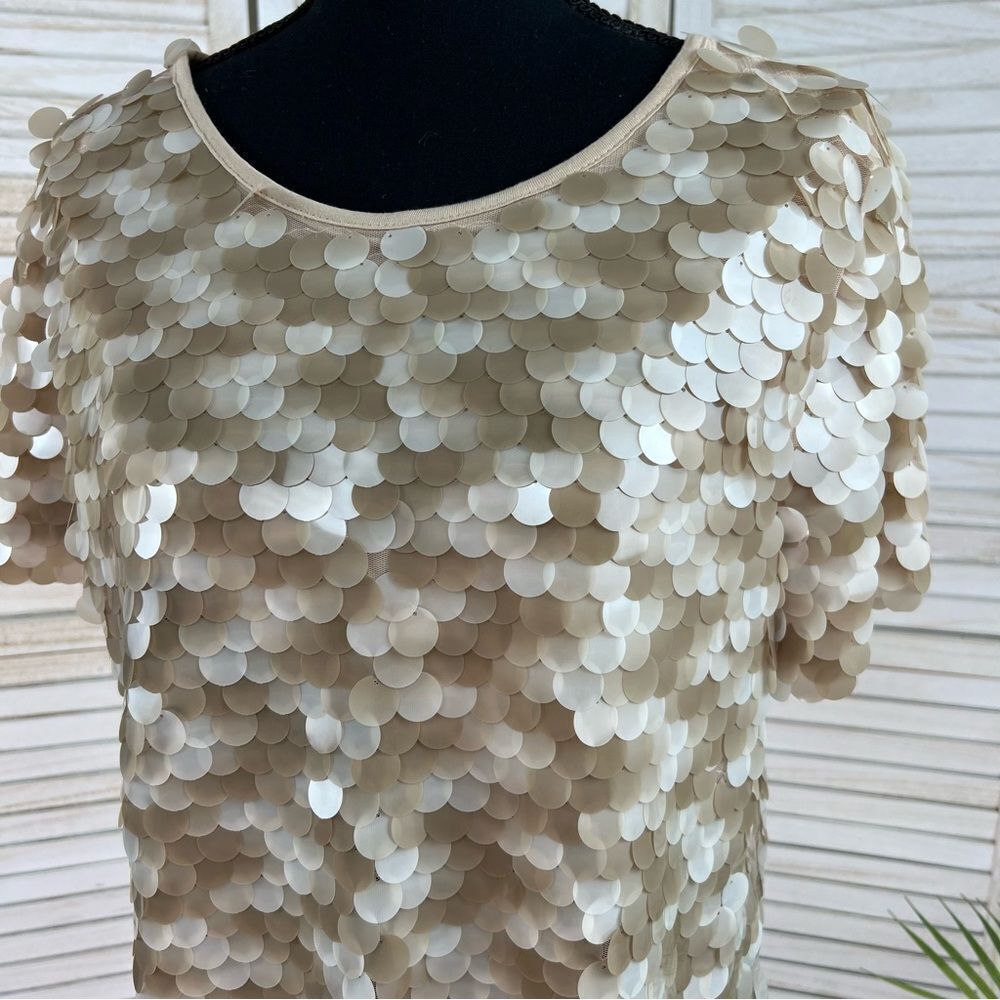 Eva Franco Anthropologie Taupe Sequin Tee Medium - Picture 4 of 13